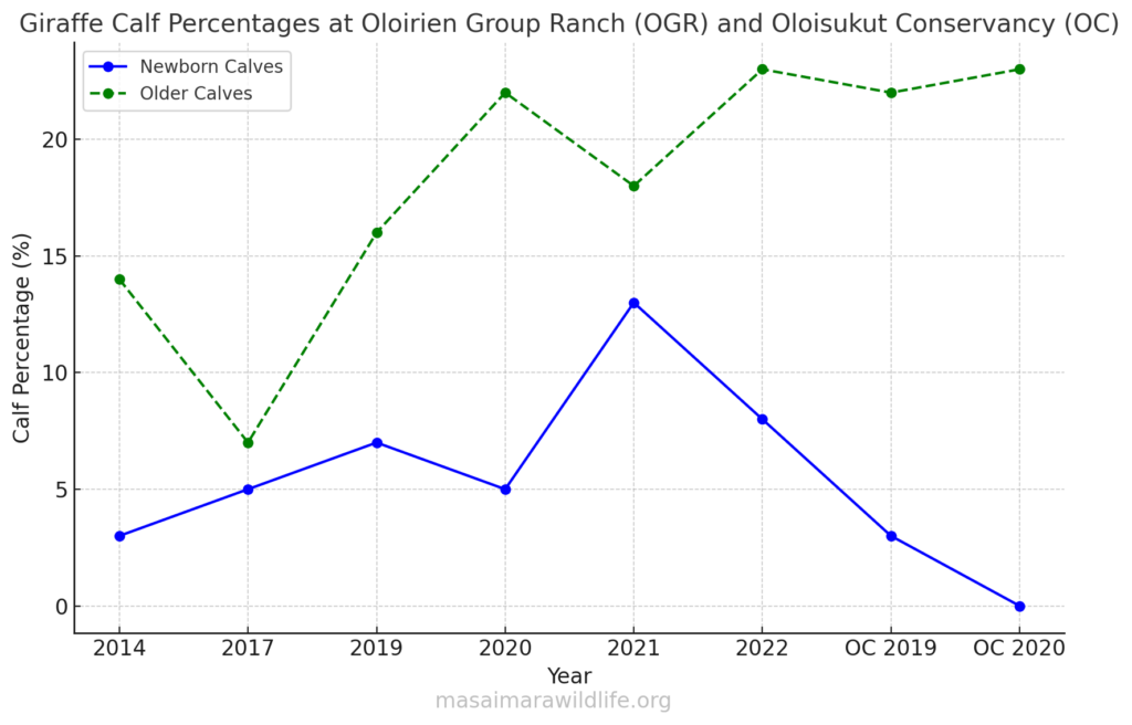 Giraffe Calf Percentages At Oloirien Group Ranch (OGR) And Oloisukut Conservancy (OC)




