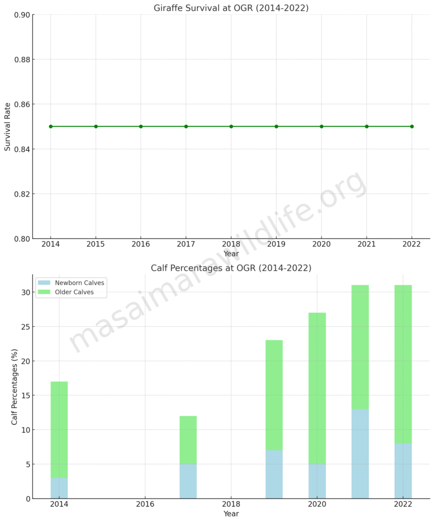 giraffe Calf Percentages At OGR (2014-2022)


