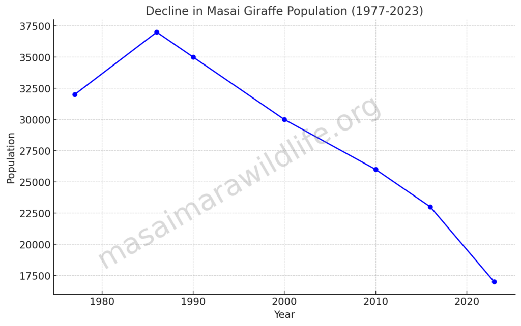 Decline In Masai Giraffe Population (1977-2023)




