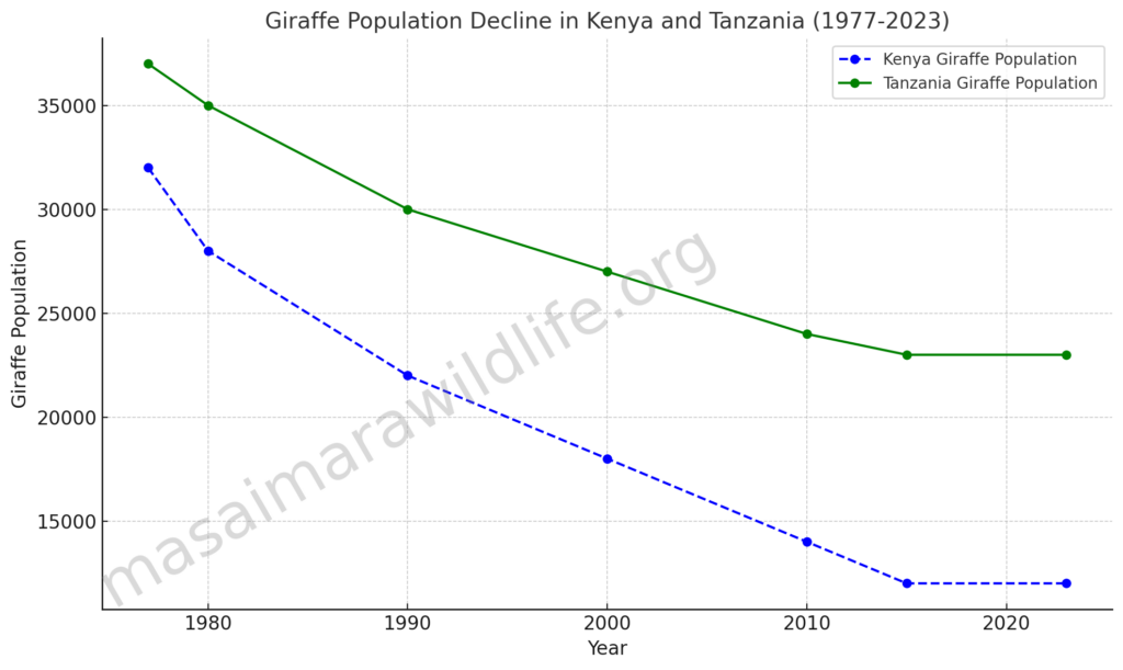 Giraffe Population Decline In Kenya And Tanzania (1977-2023)




